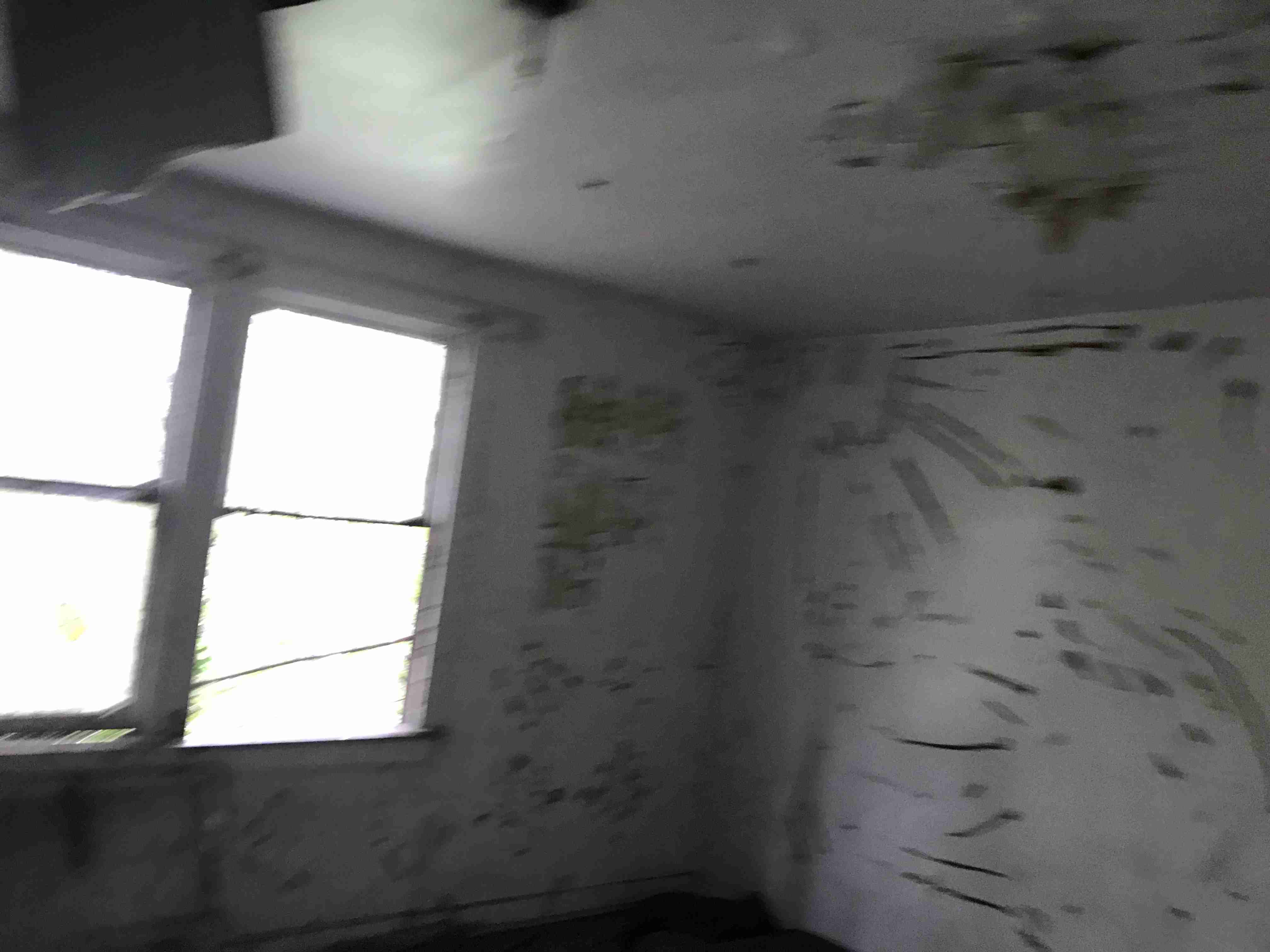 Photo Sep 10, 2 12 06 PM.jpg